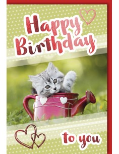 Geburtstagskarte - Katze in...