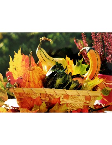 Glückwunschkarte ohne Text - Herbst