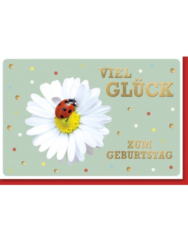 Geburtstagskarte - Viel Glück - zum...