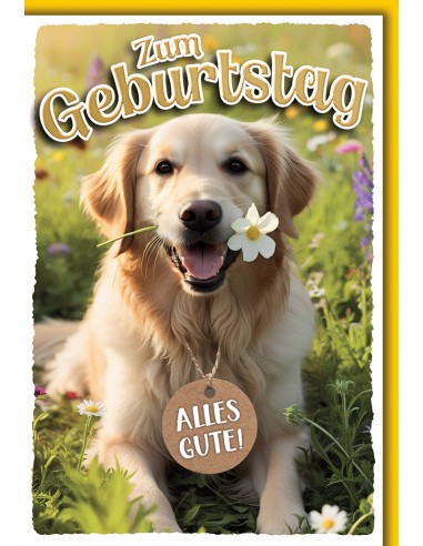 Geburstagskarte - Zum Geburtstag...