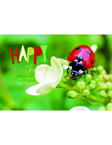 Geburtstagskarte - Happy Birthday und...
