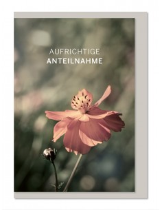 Trauerkarte - Aufrichtige...