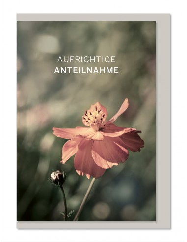 Trauerkarte - Aufrichtige Anteilnahme