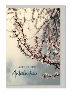 Trauerkarte - Aufrichtige...