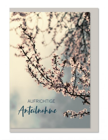 Trauerkarte - Aufrichtige Anteilnahme