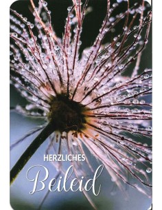 Trauerkarte - Herzliches...