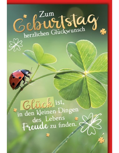 Geburtstagskarte - Zum Geburtstag...