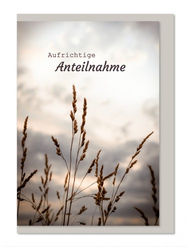 Trauerkarte - Aufrichtige Anteilnahme