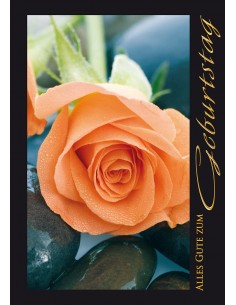 Geburtstagskarte - Format...