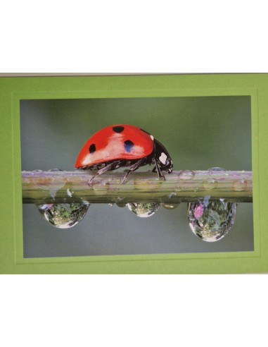 Geburtstagskarte ohne Text - Format...